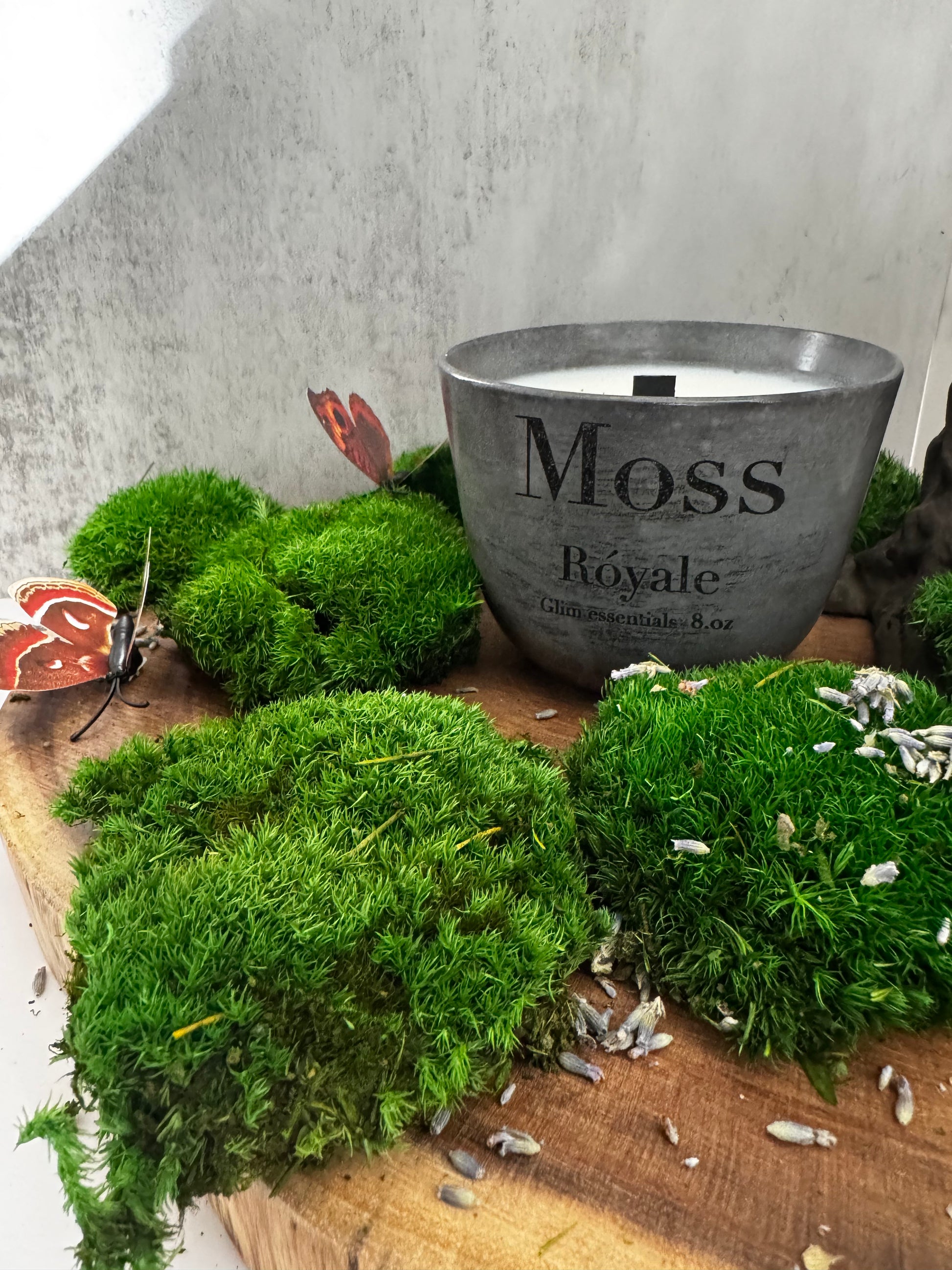 Moss róyale